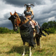 Illustration for article titled Awesome iSkyrim /iCosplay Even Includes Horse Armor